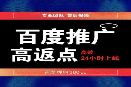SEM运营推广助力行业领导地位